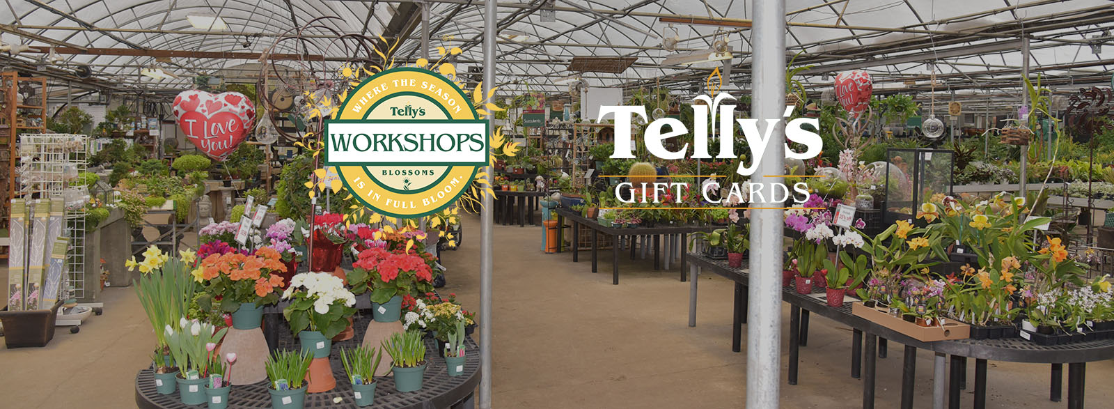 New Features • Telly's Greenhouse