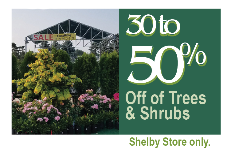 oct promo 1 • Telly's Greenhouse