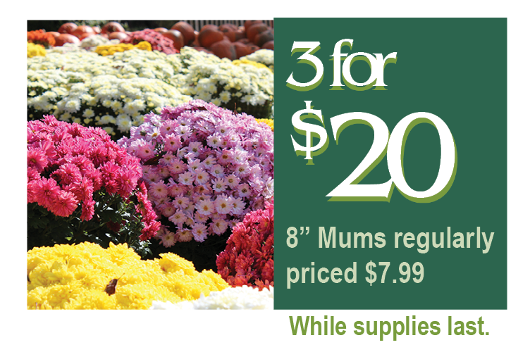 mums telly's greenhouse • Telly's Greenhouse