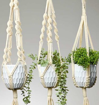 Macrame Plant Hanger Workshop (Jan 24, 2026)