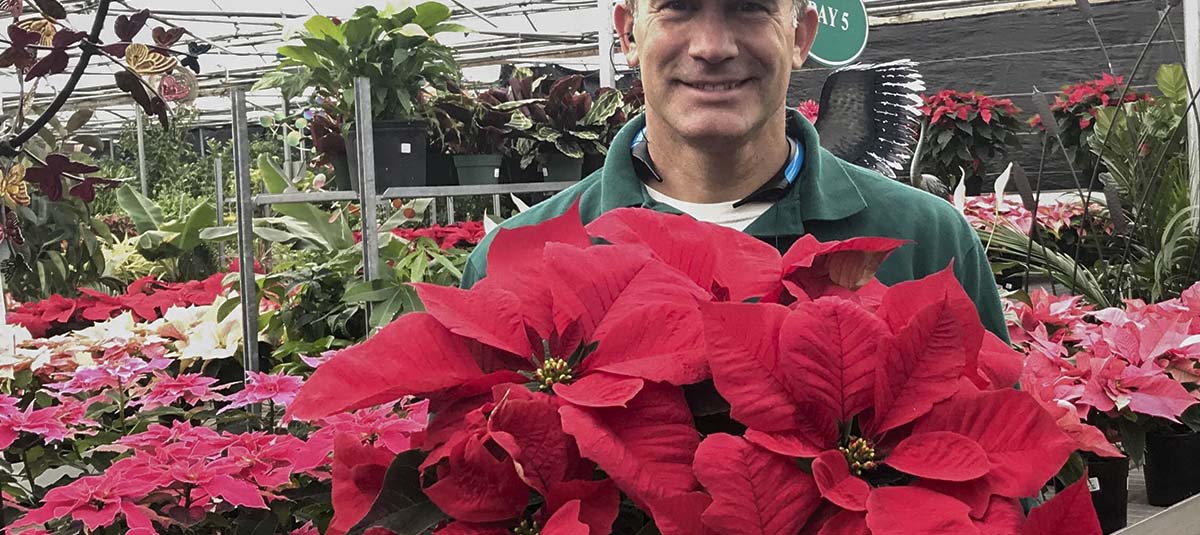 tellys holiday 9a • Telly's Greenhouse