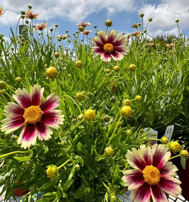 Learning From The Past (Apr 25, 2026)