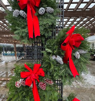 Outdoor Wreath Making Workshop (Dec 6th)