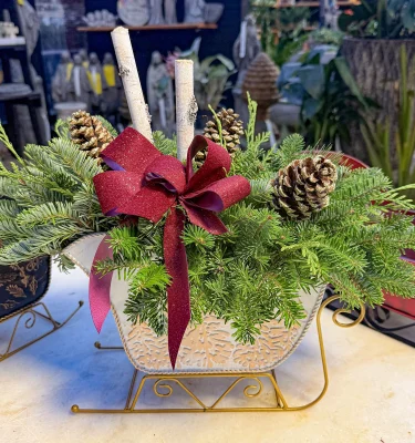 Indoor Fresh Greens Sleigh Centerpiece Workshop (Nov 22)